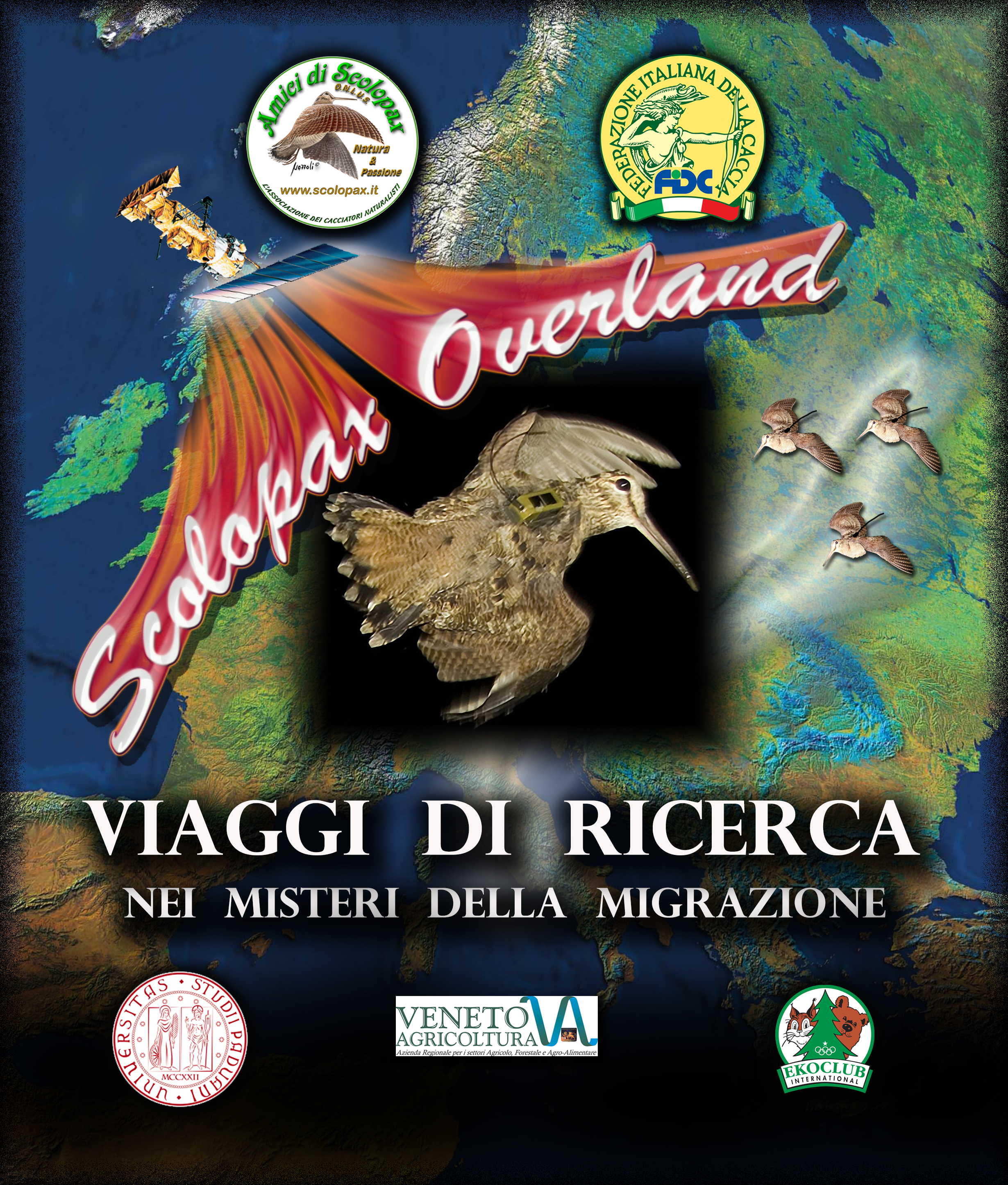 LOGO SCOLOPAX OVERLAND 2019